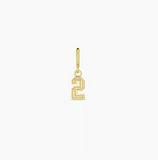 Varsity Numbers Parker Charms