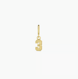 Varsity Numbers Parker Charms