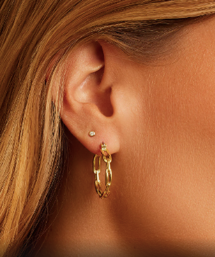 Parker Link Hoops (stainless steel posts)