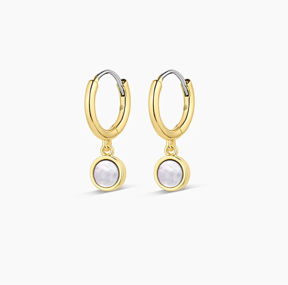 Rose Marble Coin Huggies