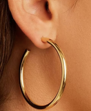 Carter Statement Hoops