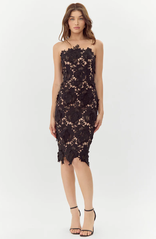 Jade Woven Lace Tube Dress