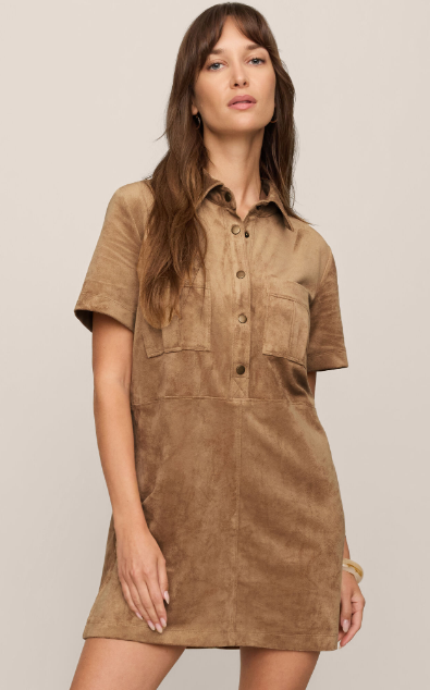 Leone Suede Mini Dress