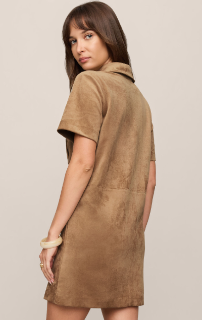 Leone Suede Mini Dress