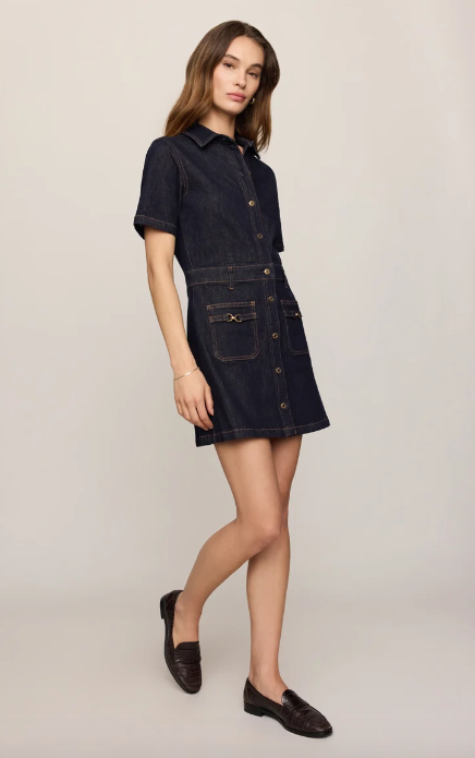 Crush Denim Dress