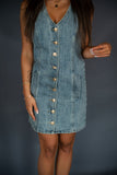Tanela Dress